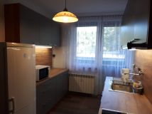 Mieszkanie 1-pokojowe Cieszyn, ul. Frysztacka. Zdjęcie 1