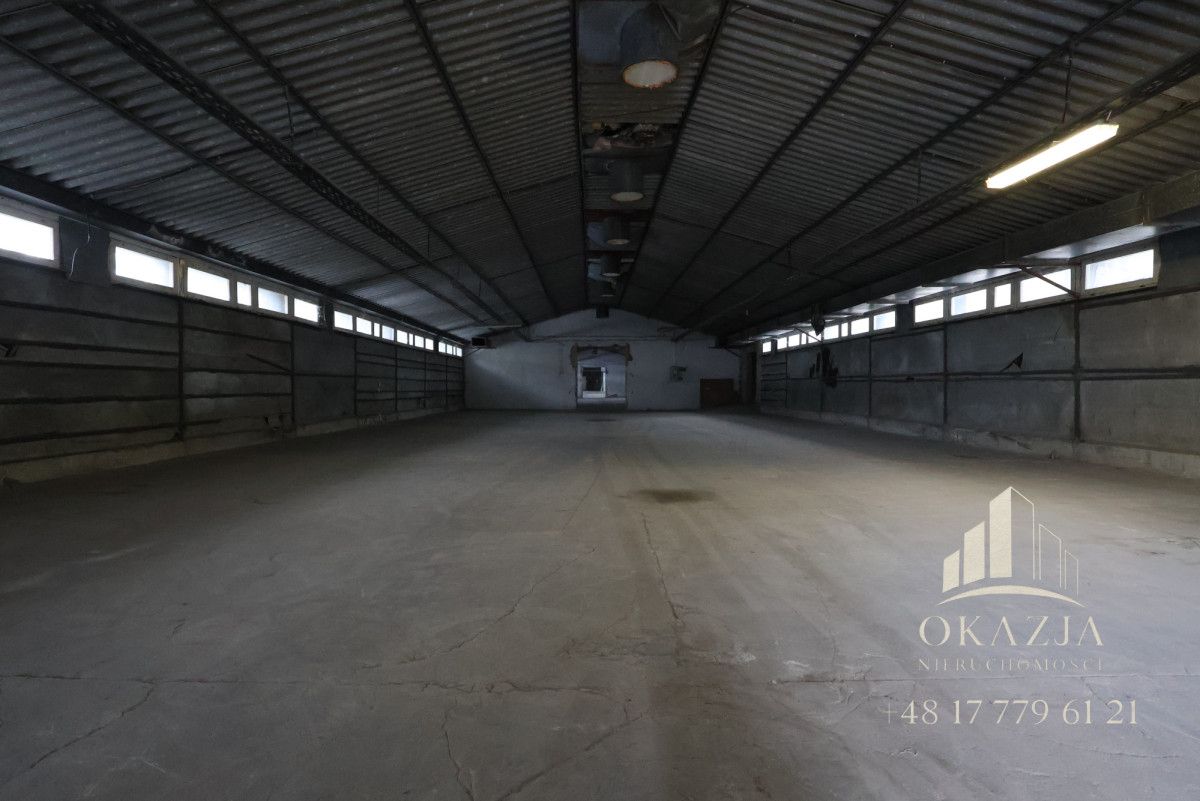 Lokal Wysoka Głogowska. Zdjęcie 4