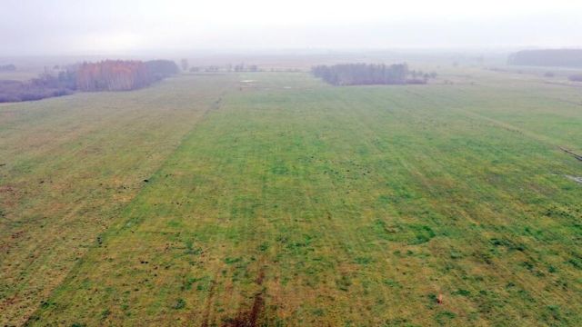 Działka rolna Siedliska. Zdjęcie 5