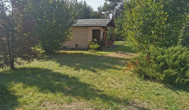 Działka rod Justynów, ul. Hulanka