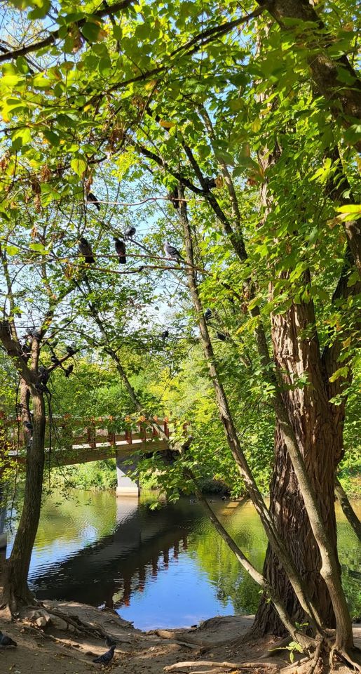 Mieszkanie 1-pokojowe Konstancin-Jeziorna Grapa, ul. Jana Sobieskiego. Zdjęcie 14