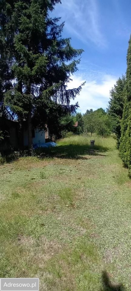 dom wolnostojący, 5 pokoi Małocice, ul. Prosta. Zdjęcie 5