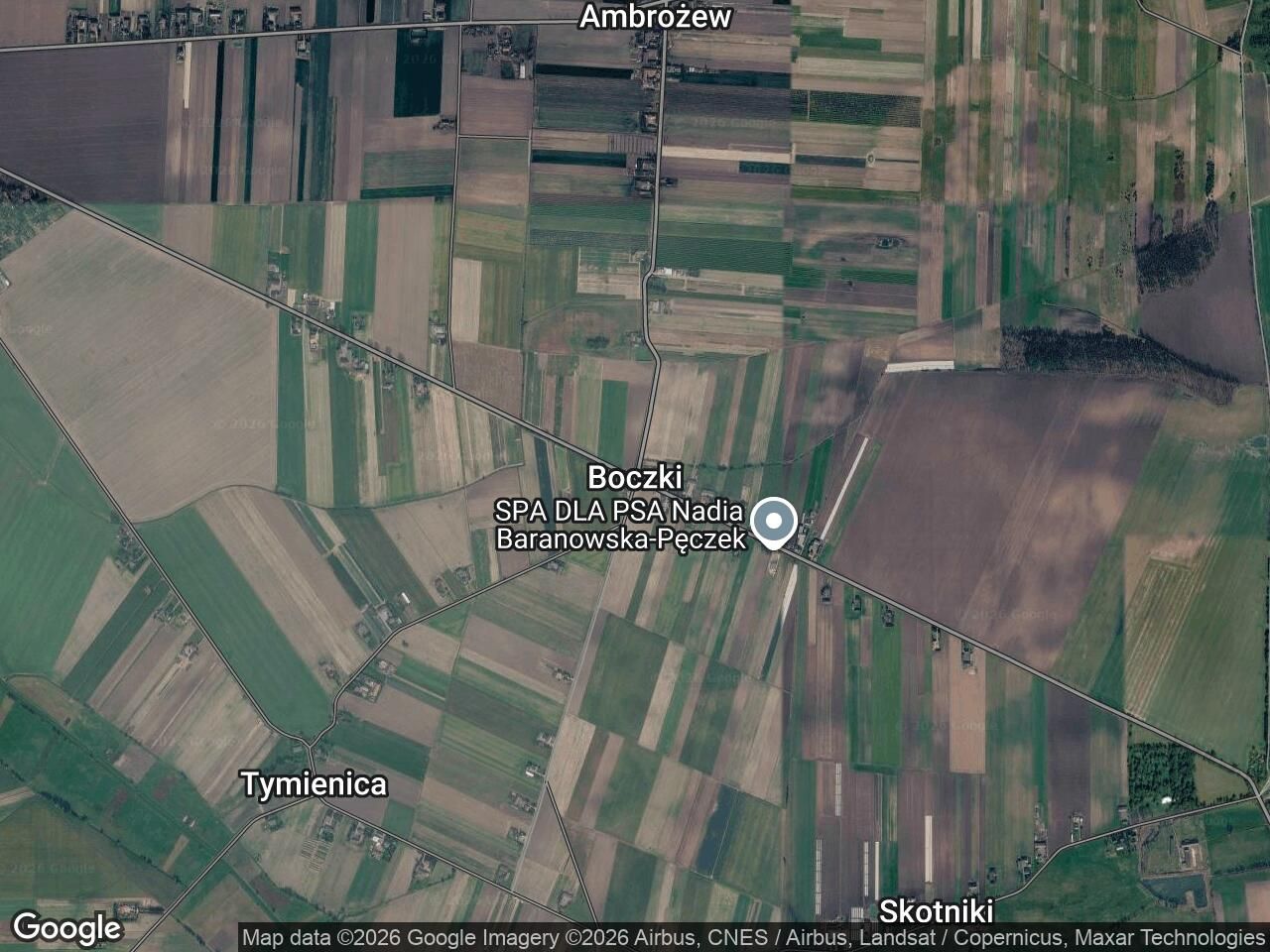 Działka rolna Boczki. Zdjęcie 1