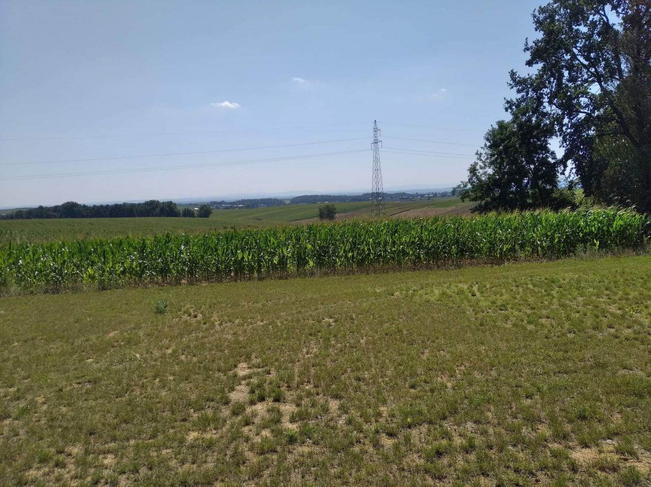 Działka budowlana Karniów