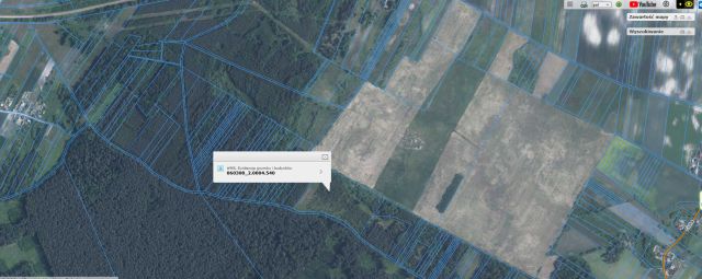 Działka leśna Krasne. Zdjęcie 1