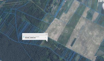 Działka leśna Krasne