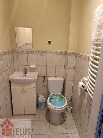 dom wolnostojący, 6 pokoi Czerna. Zdjęcie 5