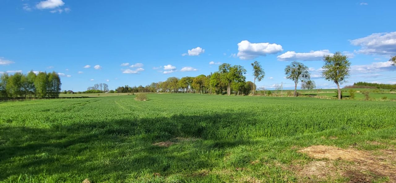 siedlisko Boguszewo, Boguszewo. Zdjęcie 3