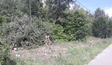 Działka rolno-budowlana Kolonia Lesiów