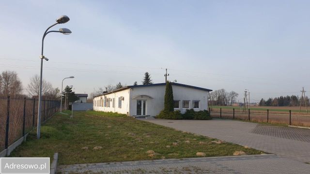 Lokal Kopytów. Zdjęcie 1