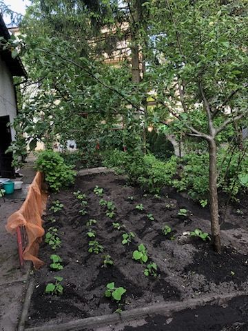 dom wolnostojący, 4 pokoje Ełk Centrum, ul. Gdańska. Zdjęcie 8