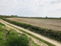 Działka rolna Rudka. Zdjęcie 3