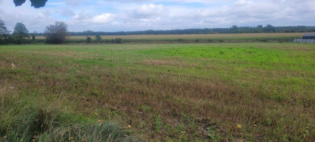 Działka budowlana Szydłowo. Zdjęcie 1