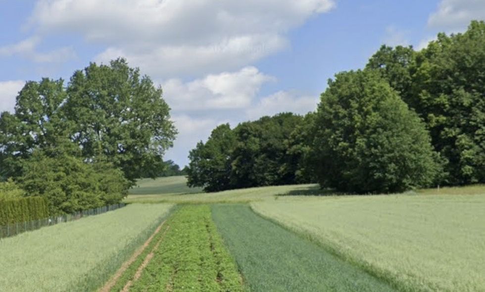 Działka rolna Studniska Dolne. Zdjęcie 3