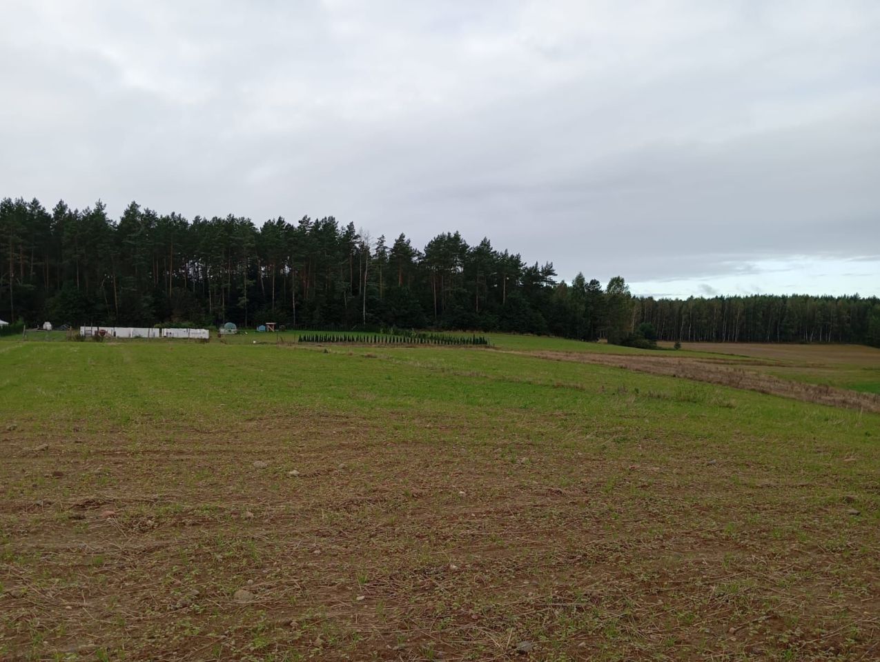 Działka budowlana Szumleś Szlachecki. Zdjęcie 4
