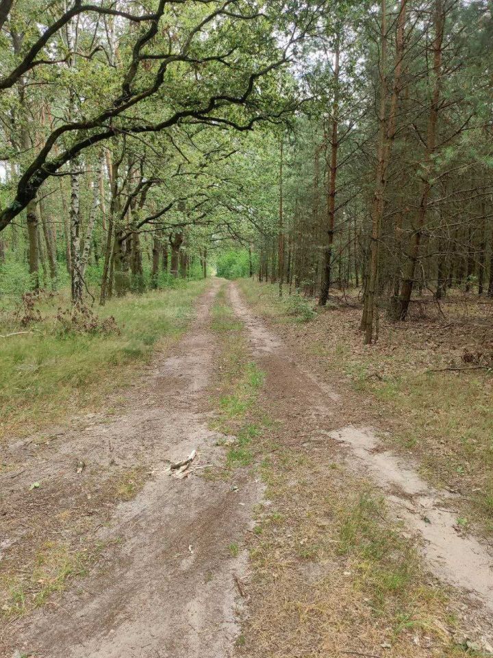 Działka Malanów. Zdjęcie 4