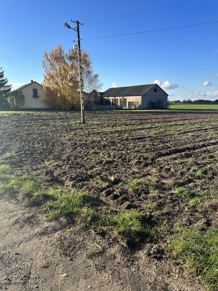 gospodarstwo Drogusza. Zdjęcie 8