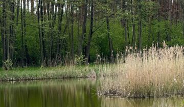 Działka budowlana Wysoka