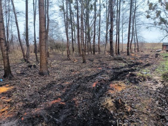 Działka rod Stęszew. Zdjęcie 1