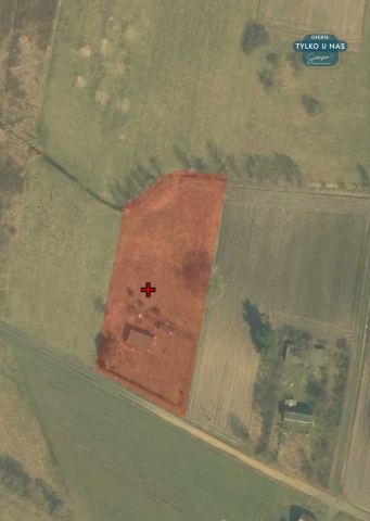 Działka siedliskowa Kiki. Zdjęcie 30