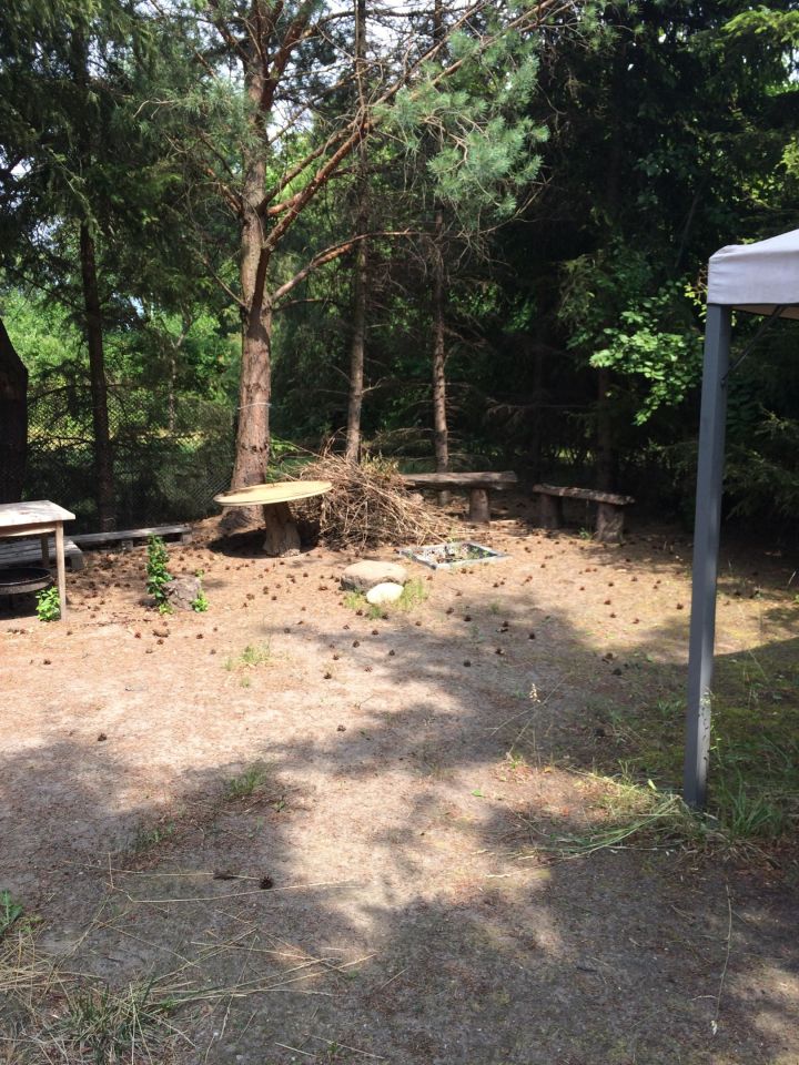 Działka rod Warszawa Włochy, ul. Wykusz. Zdjęcie 11