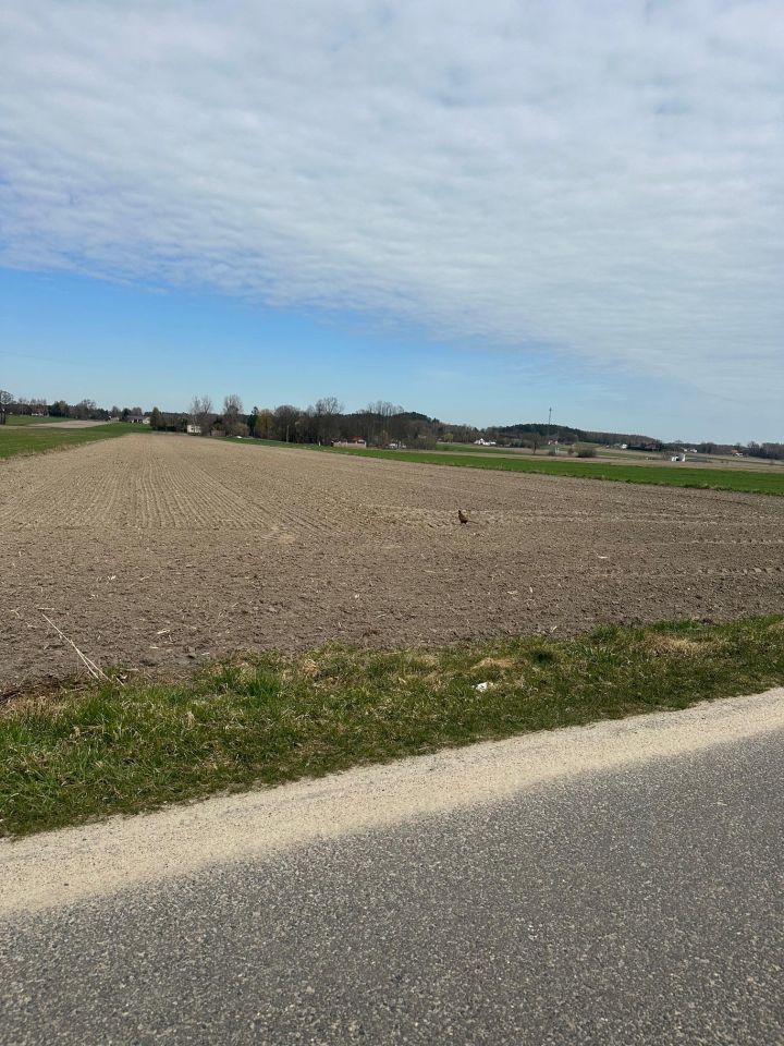 Działka budowlana Czyżemin. Zdjęcie 3