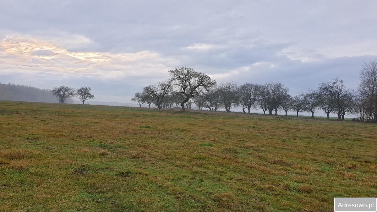 Działka budowlana Nowy Węgrzynów. Zdjęcie 6