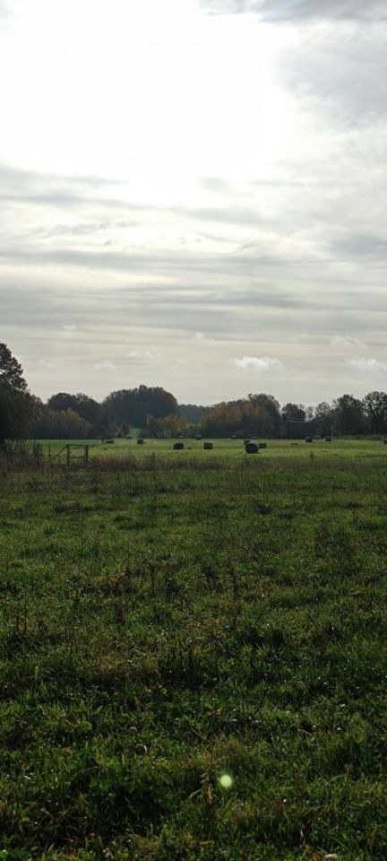 Działka budowlana Lubomyśl. Zdjęcie 4