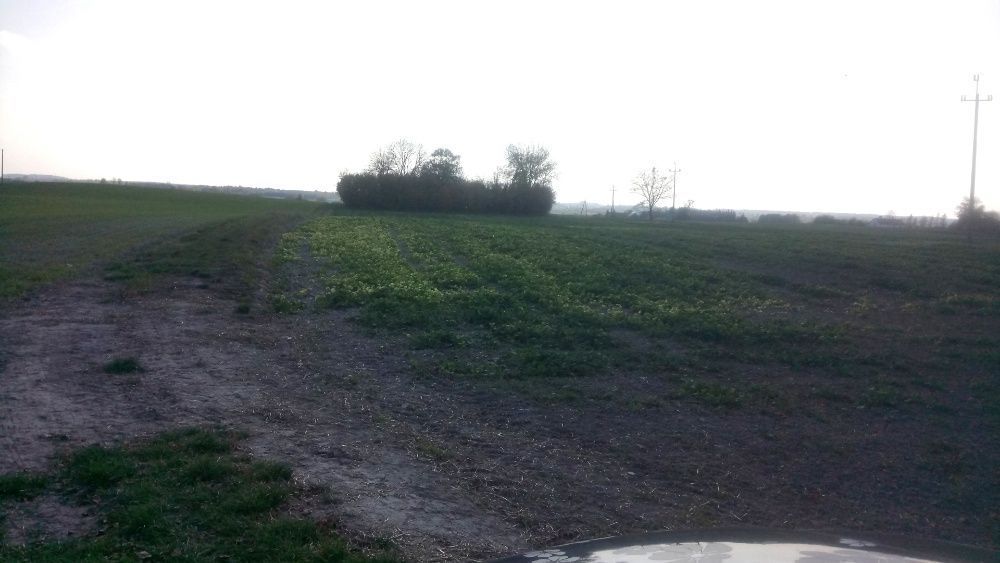 Działka inna Stołpie. Zdjęcie 4