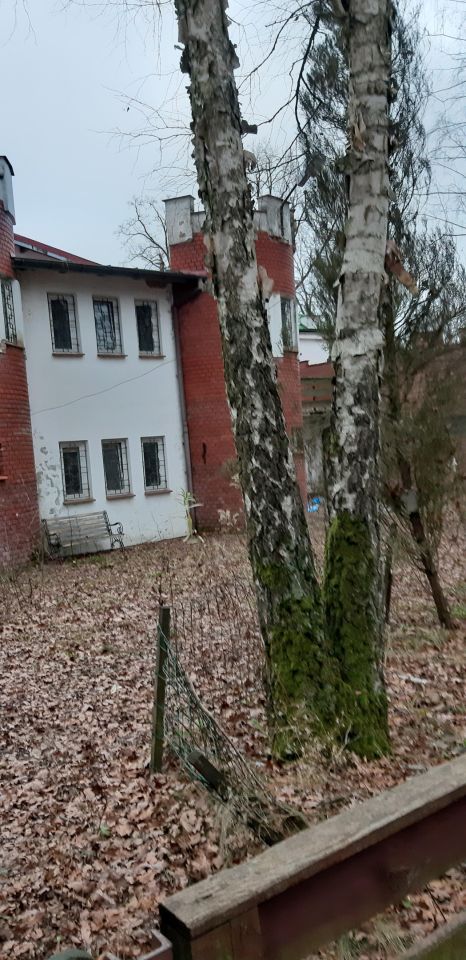 Hala/magazyn Dąbrowa Chotomowska. Zdjęcie 6