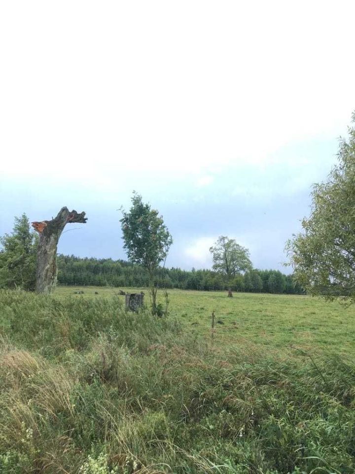Działka rolna Wyżegi. Zdjęcie 5