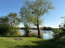 Działka rekreacyjna Nowa Wieś Mała. Zdjęcie 2