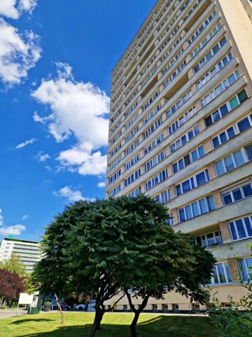 Mieszkanie 1-pokojowe Katowice Koszutka, ul. Katowicka. Zdjęcie 5