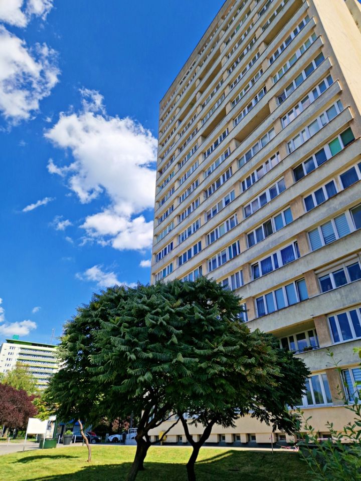 Mieszkanie 1-pokojowe Katowice Koszutka, ul. Katowicka. Zdjęcie 5