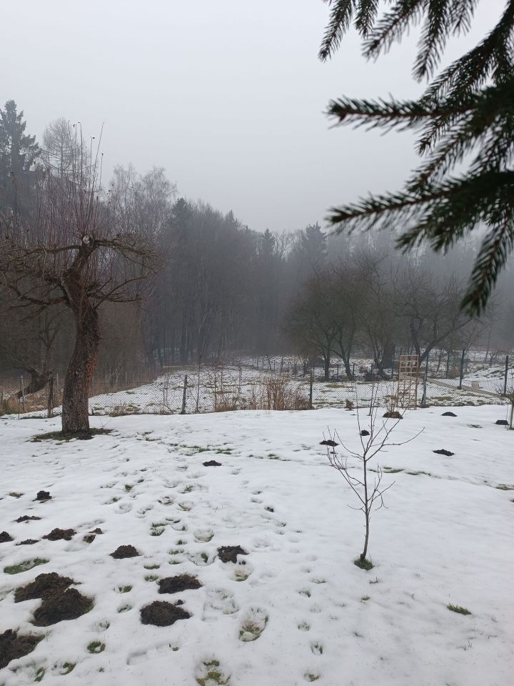 dom wolnostojący Alwernia, rynek Rynek. Zdjęcie 6
