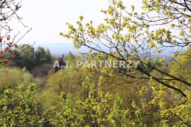 Działka Lednica Górna. Zdjęcie 5