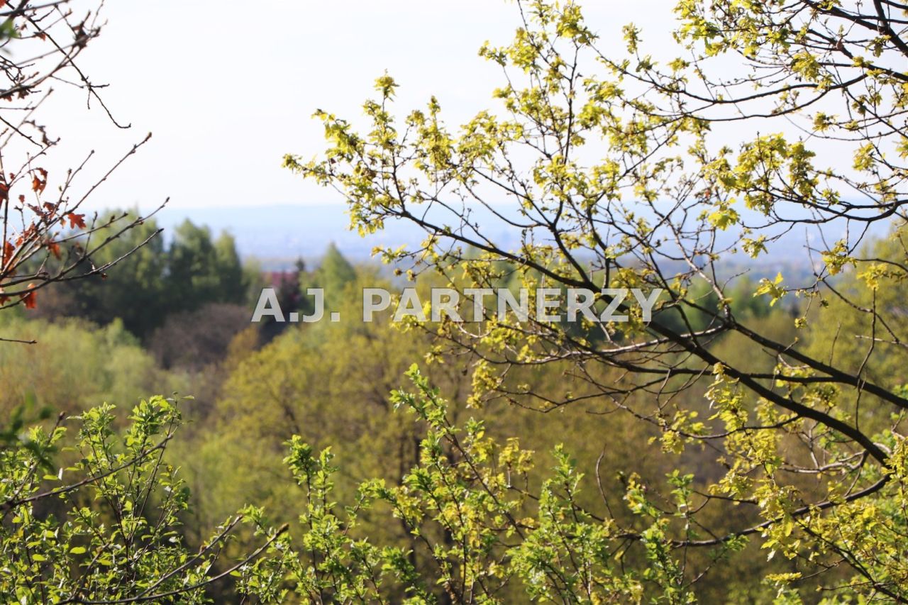 Działka Lednica Górna. Zdjęcie 5