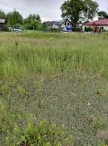 Działka budowlana Jelcz-Laskowice, ul. Lipcowa. Zdjęcie 1