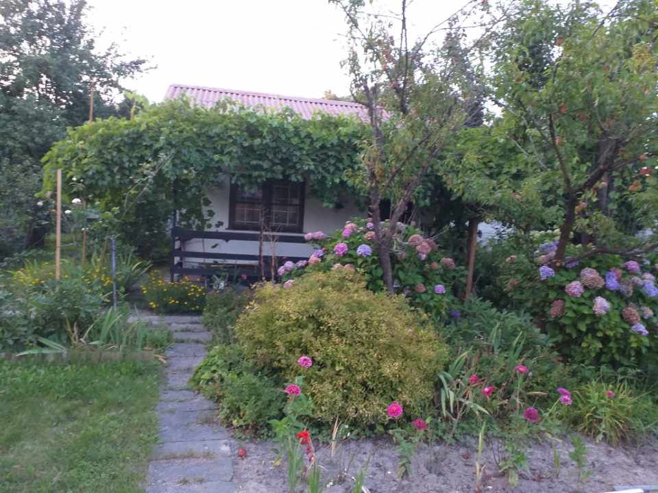 Działka rod Balice. Zdjęcie 5