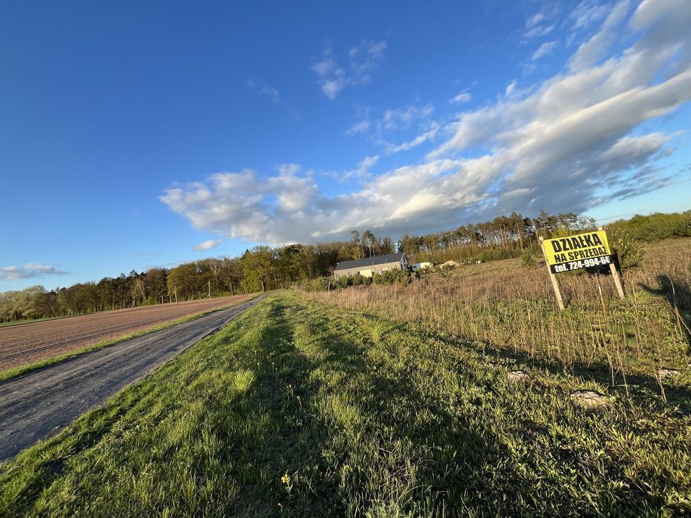 Działka budowlana Wilcze. Zdjęcie 2