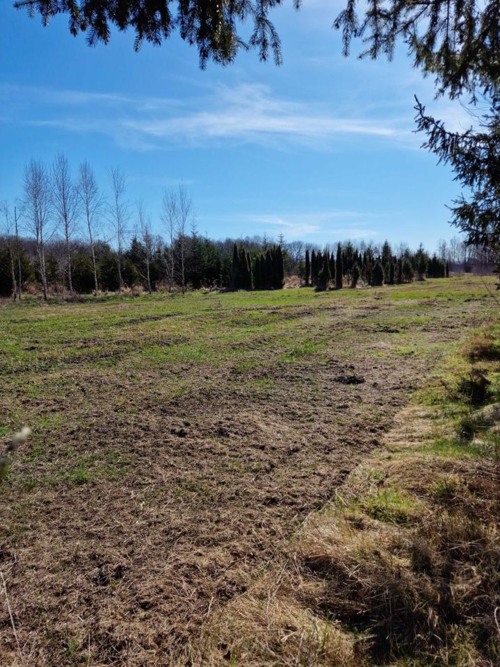 Działka rolna Świdnica. Zdjęcie 5