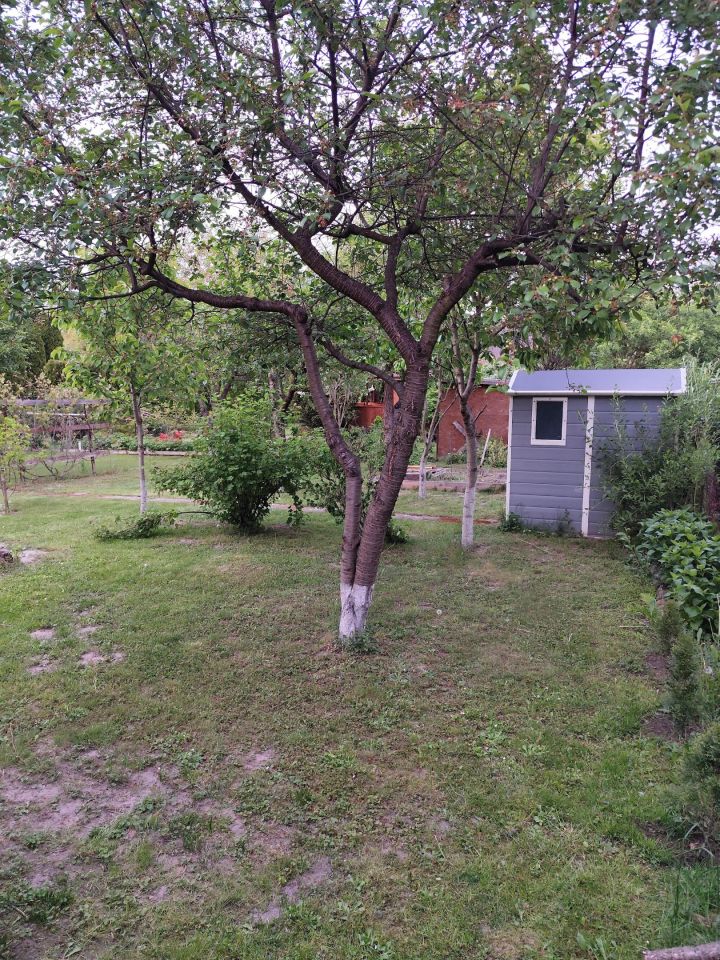 Działka rod Płock Winiary, ul. Traktowa. Zdjęcie 19