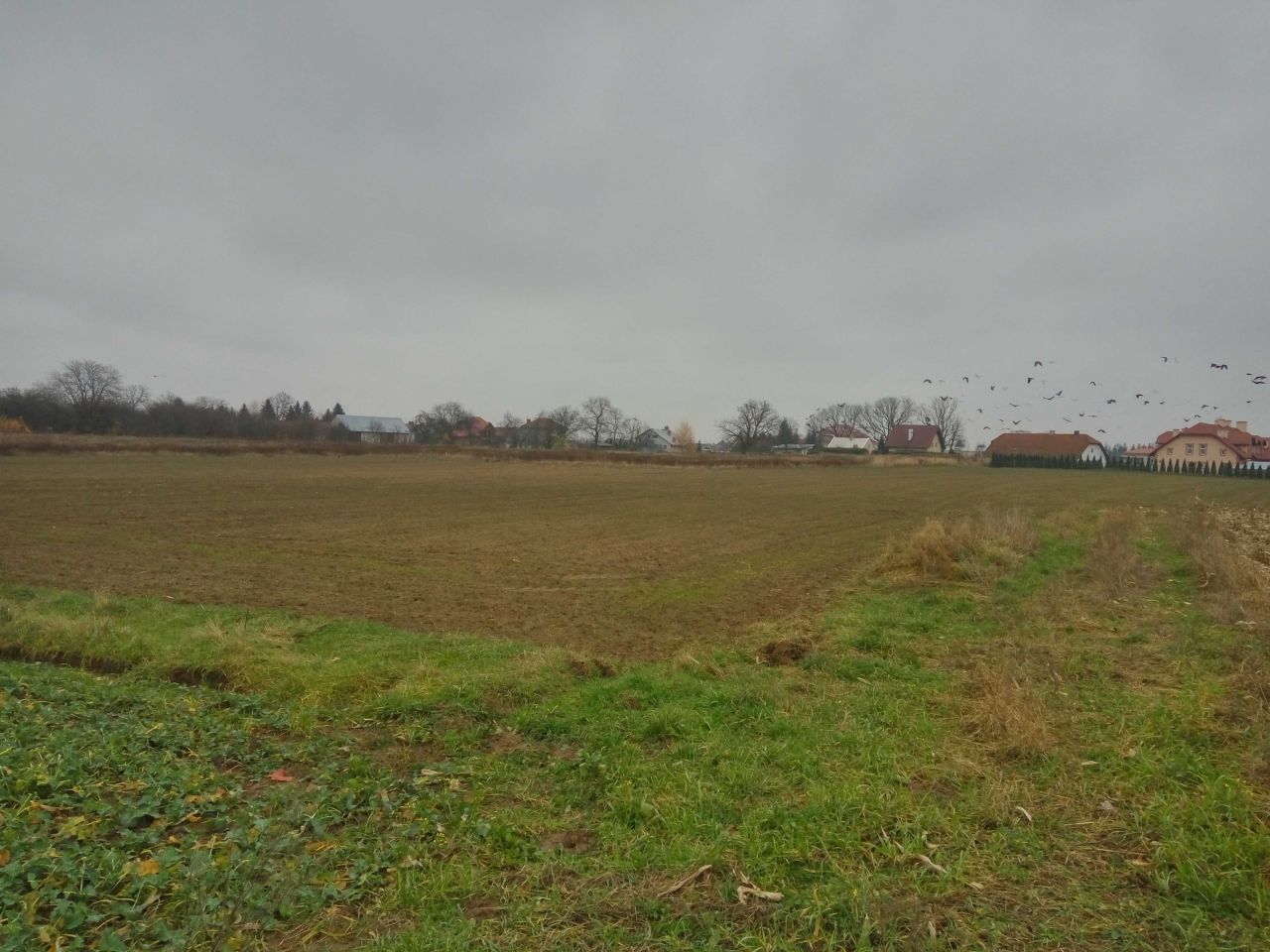 Działka budowlana Szówsko, ul. Kościelna