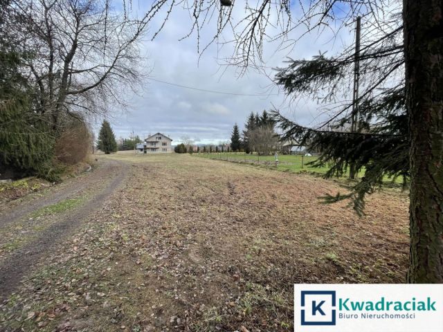 dom wolnostojący, 10 pokoi Moderówka. Zdjęcie 15