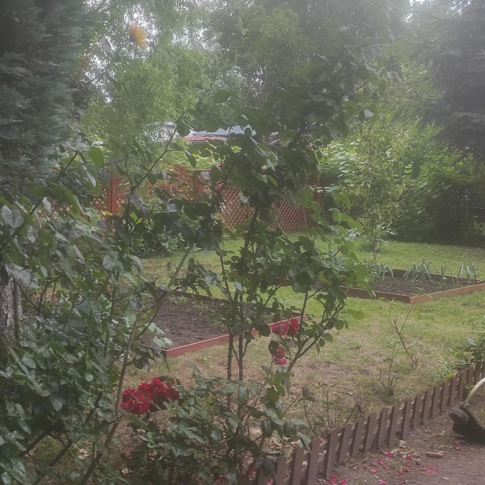 Działka rekreacyjna Słodków. Zdjęcie 5