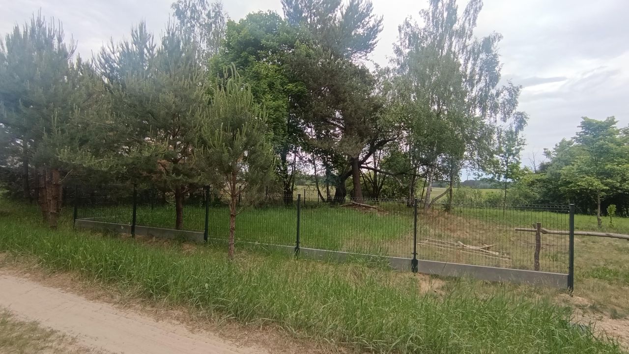 Działka siedliskowa Krynickie. Zdjęcie 7