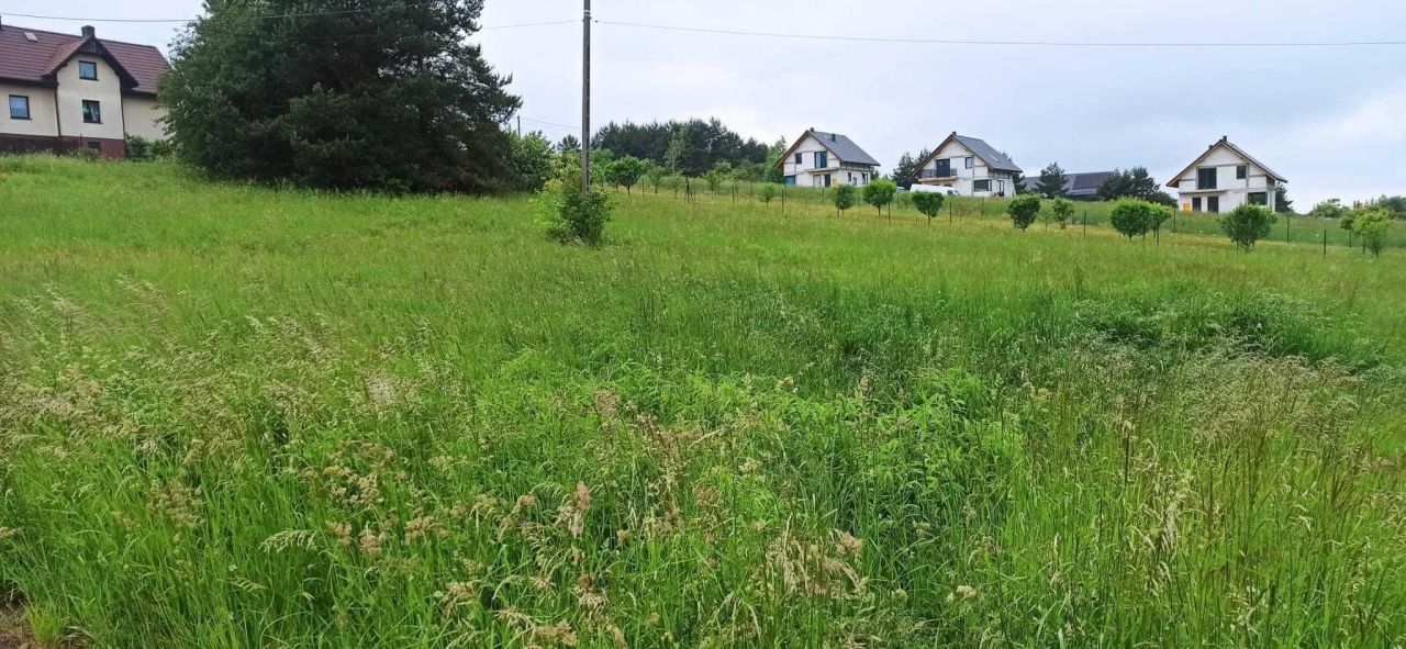 Działka budowlana Bolęcin, ul. Widokowa. Zdjęcie 4