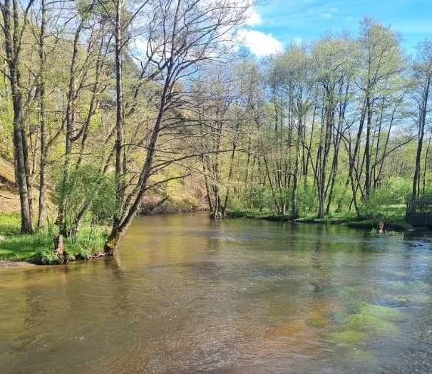 Działka budowlana Strzyżyno. Zdjęcie 5