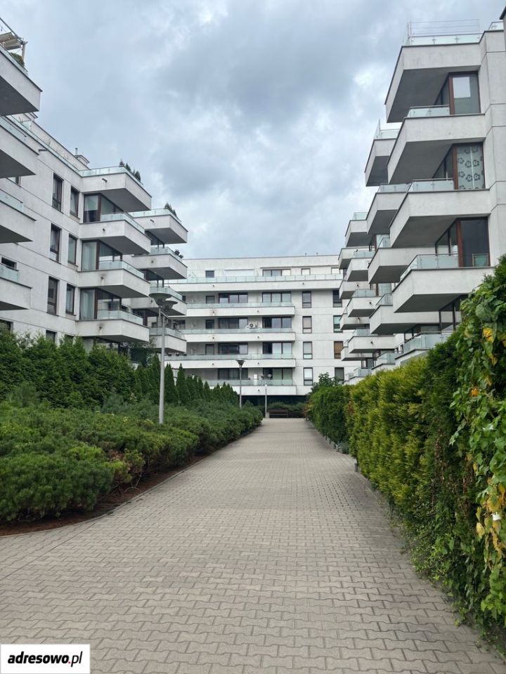 Mieszkanie 2-pokojowe Poznań Centrum, ul. Kazimierza Wielkiego. Zdjęcie 19