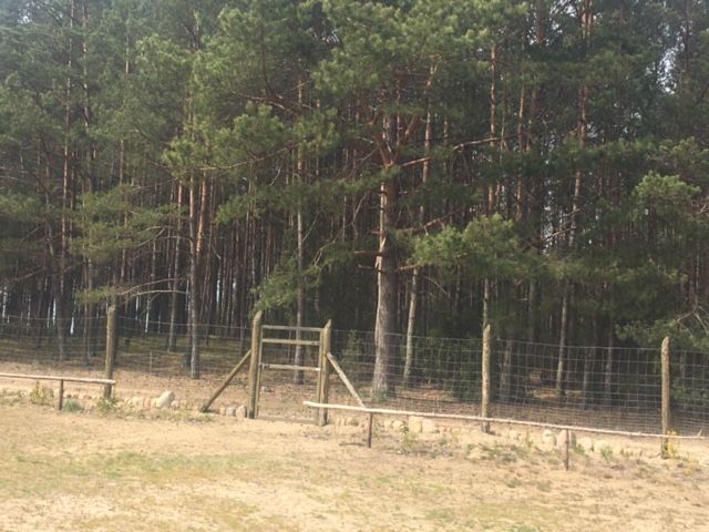 Działka rolno-budowlana Zbrzyca. Zdjęcie 10